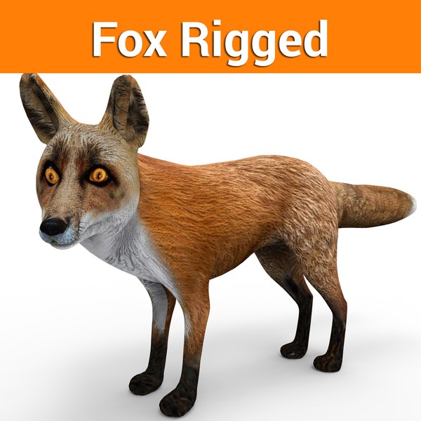 Fox Rigged (1) 3D 모델 - TurboSquid 1205850