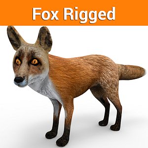 Fox Rigged(1)