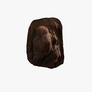 3D Anydrafts Taxodium ascendens Burl 06