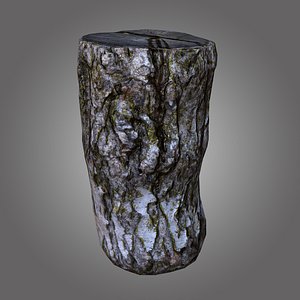 birch log pbr 3D model