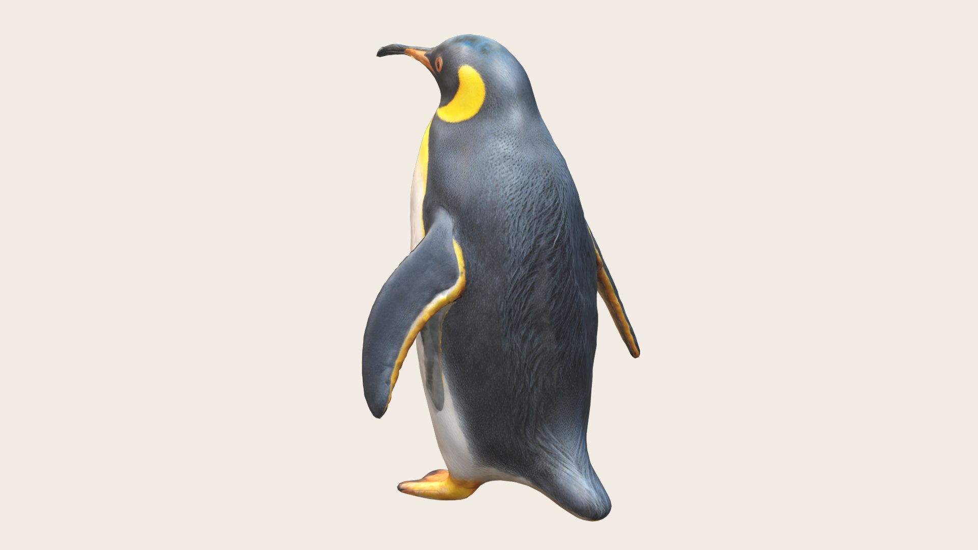 3D Penguin Model - TurboSquid 2282850