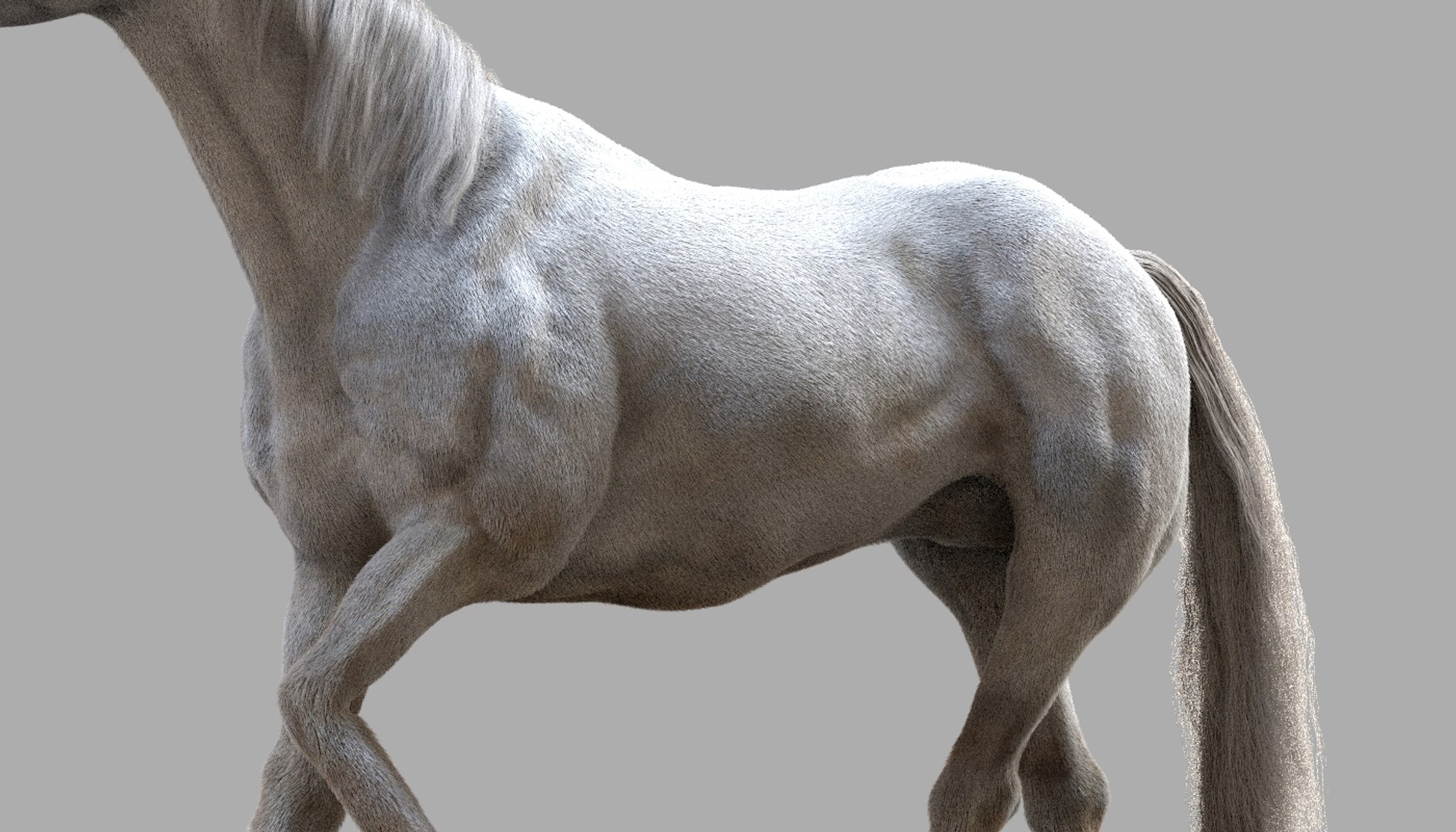 3D Rigged Tail Jump Model - TurboSquid 1386937