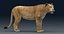 3D Lioness Rigged FUR