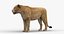 3D Lioness Rigged FUR