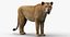 3D Lioness Rigged FUR