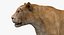 3D Lioness Rigged FUR
