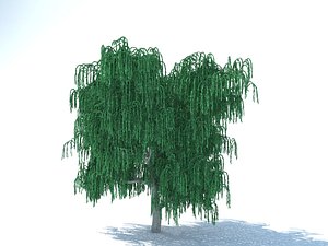 free max model realistic willow tree