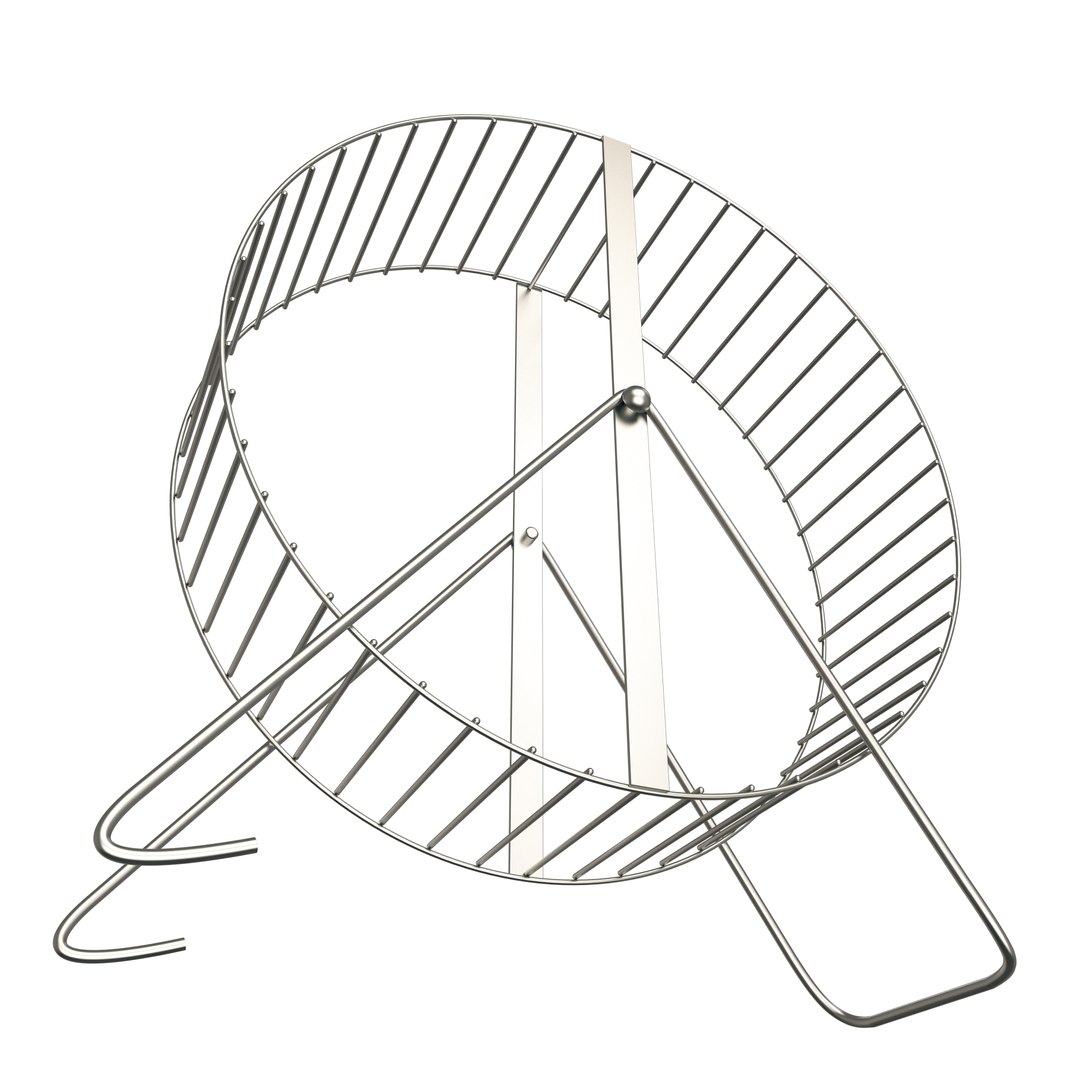 3D Hamster Wheel model https://p.turbosquid.com/ts-thumb/FE/Y0MZQj/iL/wheel2/jpg/1627652351/1920x1080/fit_q87/697cc41bb0fe9ed7ac273b6df13e8dfca6082134/wheel2.jpg