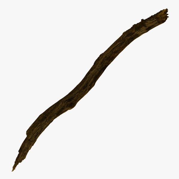 3D model Broken Branch 02 RAW Scan