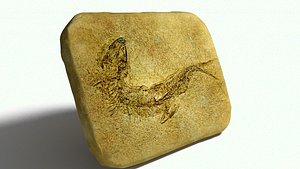 Fossil stone plate fish