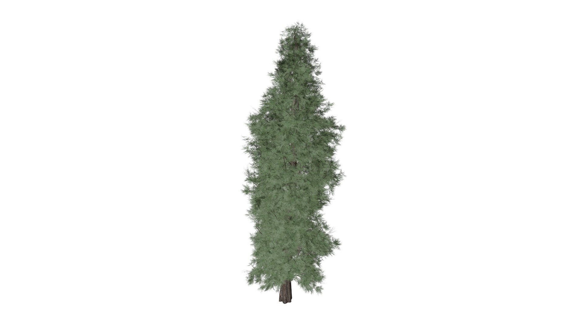 Eastern Red Cedar Tree - 05 - 3D Model - TurboSquid 2373443
