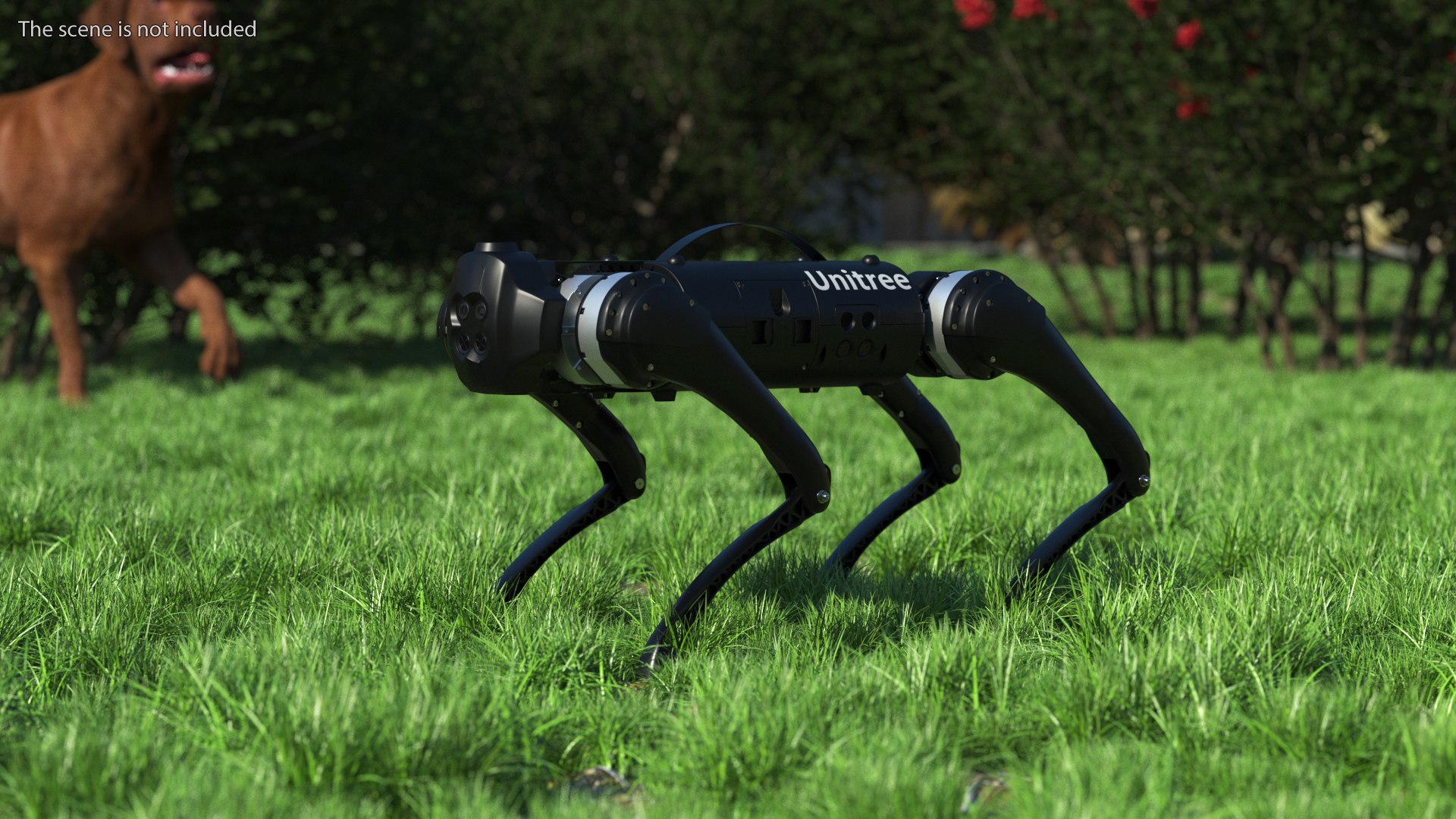 Unitree Go1 EDU Plus Black Rigged for Cinema 4D 3D model preview