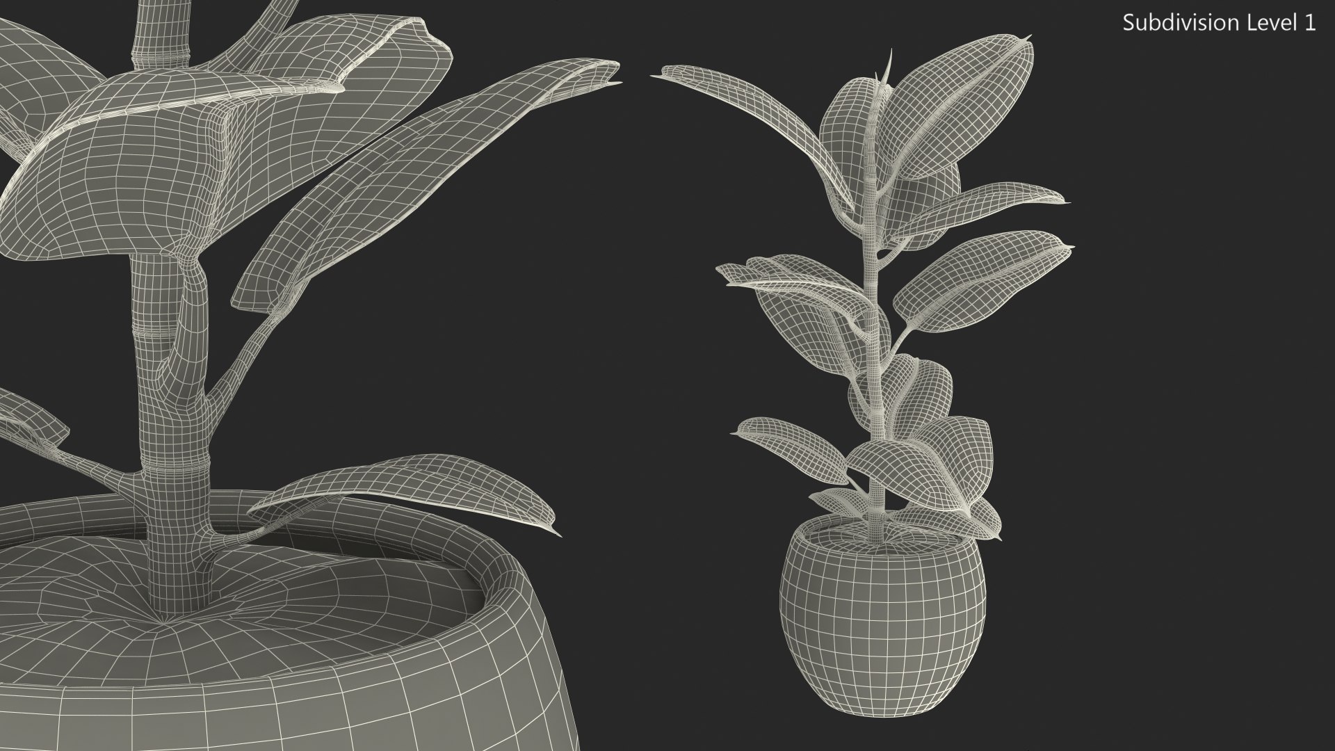 ficus elastica ruby pot 3D model https://p.turbosquid.com/ts-thumb/FE/oqX7ht/3dL7AfQf/ficuselasticarubyinpot3dsmodel019/jpg/1608292764/1920x1080/fit_q87/5003f84ea1a23a360cfee28af9bba42dacbf1a42/ficuselasticarubyinpot3dsmodel019.jpg