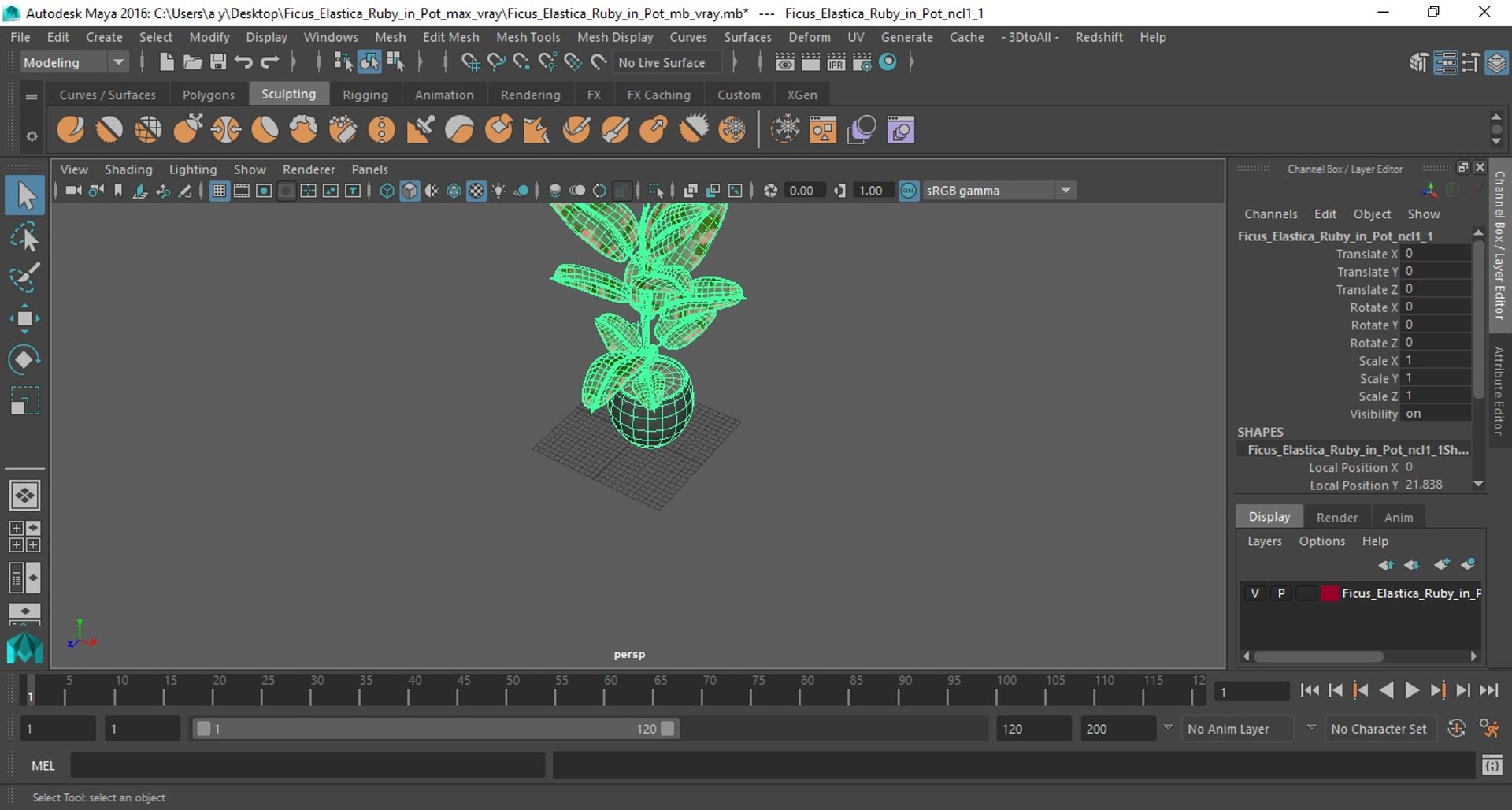 ficus elastica ruby pot 3D model https://p.turbosquid.com/ts-thumb/FE/oqX7ht/4jS7ZcnY/ficuselasticarubyinpot3dsmodel015/jpg/1608292715/1920x1080/fit_q87/6b9b132a896c6adaeea6d771adf57dba0dedbcb3/ficuselasticarubyinpot3dsmodel015.jpg