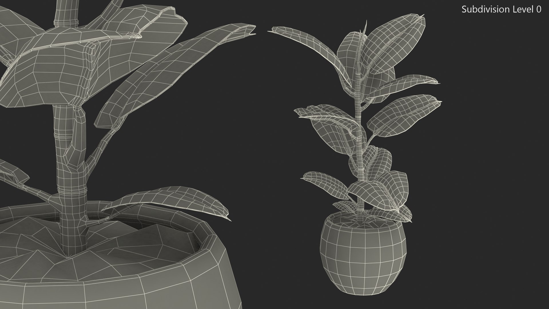 ficus elastica ruby pot 3D model https://p.turbosquid.com/ts-thumb/FE/oqX7ht/B9CVPnDC/ficuselasticarubyinpot3dsmodel018/jpg/1608292752/1920x1080/fit_q87/67e84400d47068c5c11a6d50b53d8ceaee077d8a/ficuselasticarubyinpot3dsmodel018.jpg