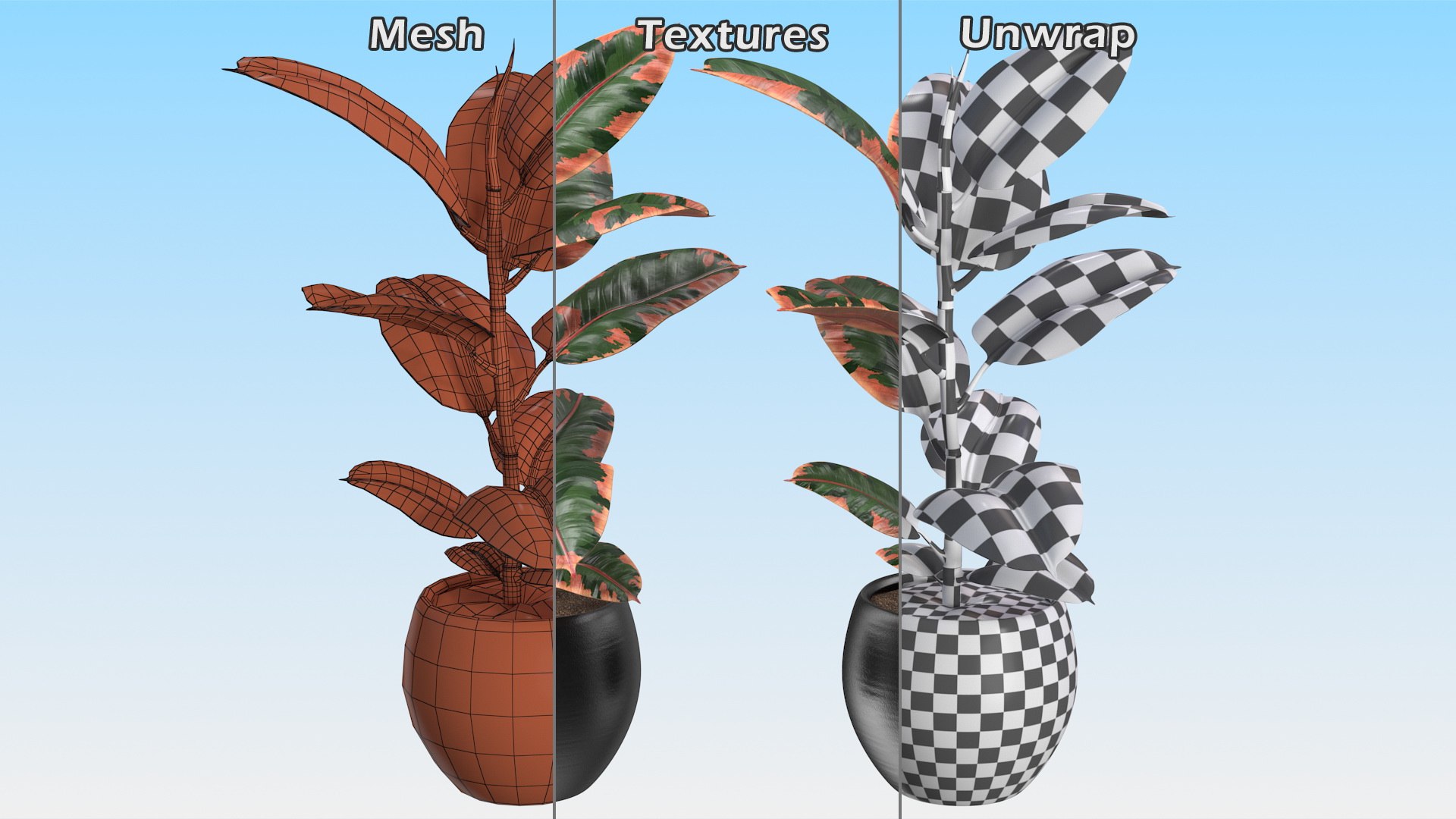 ficus elastica ruby pot 3D model https://p.turbosquid.com/ts-thumb/FE/oqX7ht/iIz5eZXo/ficuselasticarubyinpot3dsmodel013/jpg/1608292686/1920x1080/fit_q87/27d4c0358145d60cd6084e9d194a616a0cf5b93a/ficuselasticarubyinpot3dsmodel013.jpg