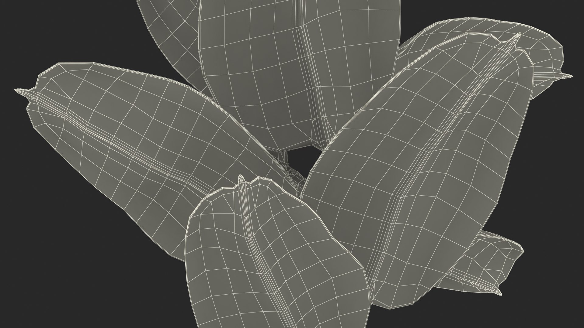ficus elastica ruby pot 3D model https://p.turbosquid.com/ts-thumb/FE/oqX7ht/woNuB9H8/ficuselasticarubyinpot3dsmodel024/jpg/1608292827/1920x1080/fit_q87/d1fc6077de8b7db57daf645e979bc97f76025a2a/ficuselasticarubyinpot3dsmodel024.jpg