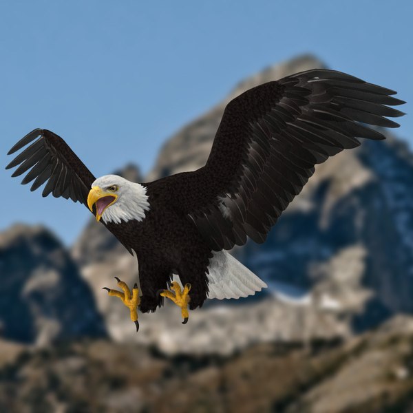 Haliaeetus Leucocephalus「白頭ワシ」3Dモデル - TurboSquid 763489