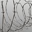 Barb Wire