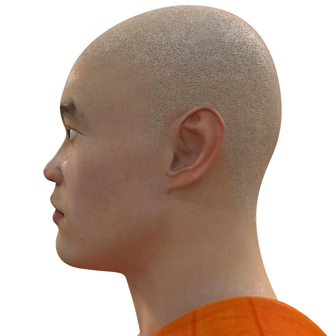 3d model buddhist monk https://p.turbosquid.com/ts-thumb/FF/BfkQtn/cLn1PXKZ/buddhistmonk_31/jpg/1393845563/1920x1080/fit_q87/dc8c0f17fc8babd558f181a68cab4256c691a892/buddhistmonk_31.jpg