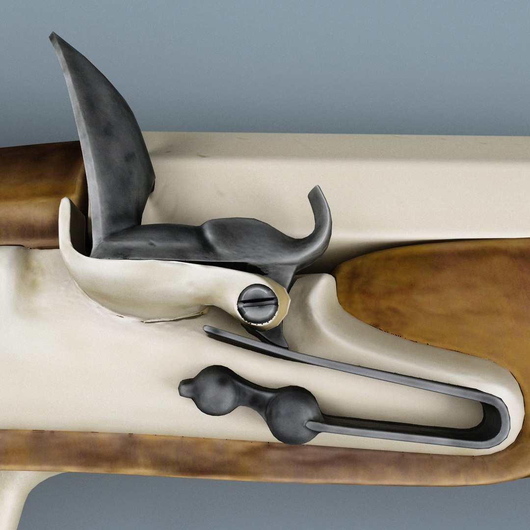 old muskets 3d model https://p.turbosquid.com/ts-thumb/FF/QbV52V/2F5nZ5FT/old_muskets_collection_80/jpg/1313189003/1920x1080/fit_q87/bc9c6fae57fee472d7b5fe5c24cfaa3272aaa08e/old_muskets_collection_80.jpg