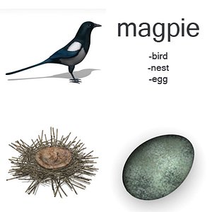 magpie set