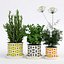 orla kiely pot plant 3d obj