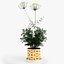 orla kiely pot plant 3d obj