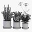 orla kiely pot plant 3d obj