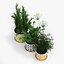 orla kiely pot plant 3d obj