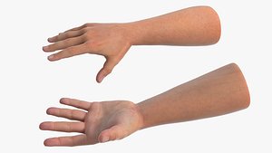 3D Realistic Male Arm Pair Rigged for Cinema 4D