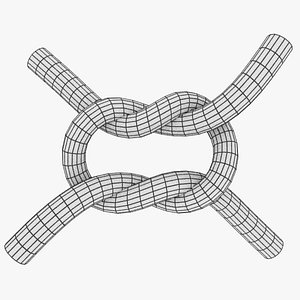 knot model