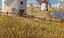 Spanish WindMills Landscape