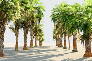 China Palm Animated Pack 10