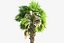 china palm pack 10 3D model