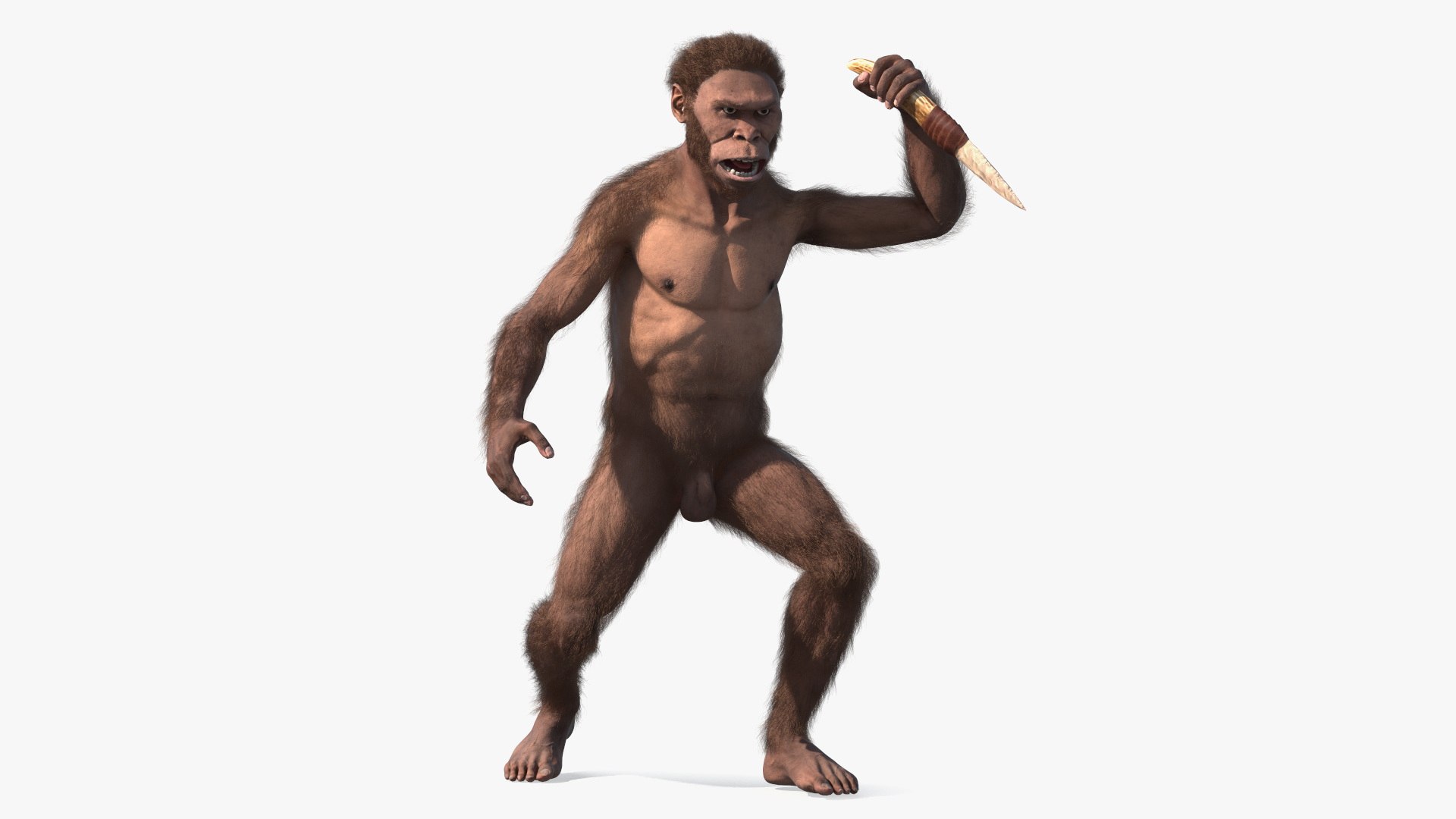 Homo Habilis with Knife in Fighting Pose Fur 3D model preview