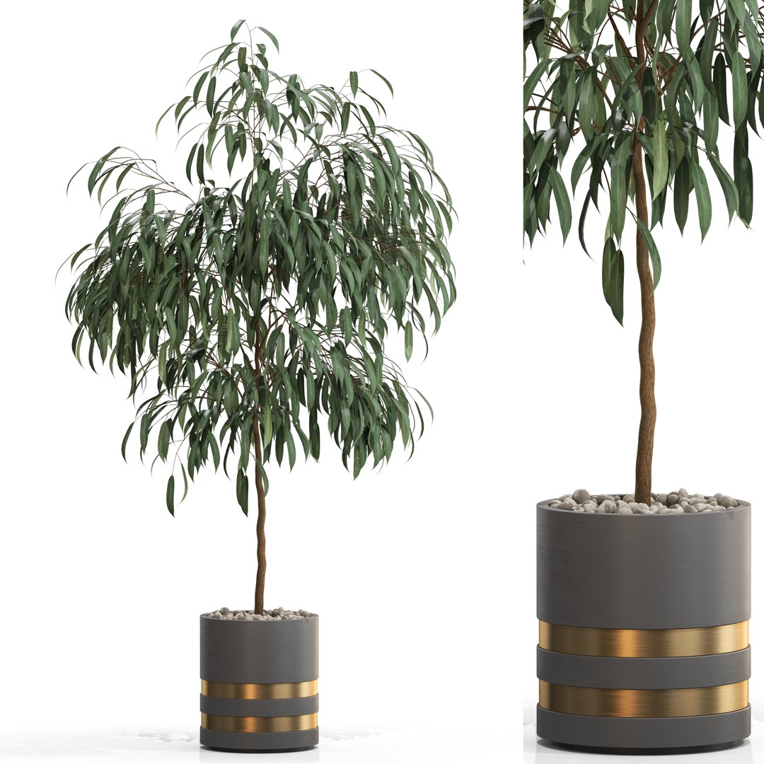 3D Plants collection 711 https://p.turbosquid.com/ts-thumb/FG/iCtso2/uU/plant_711_01.rgb_color/jpg/1651850928/1920x1080/fit_q87/9376171bca0a2886ad8c4abf094d4713a0a7b8c4/plant_711_01.rgb_color.jpg