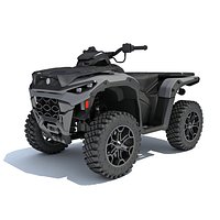 All Terrain Vehicle ATV Quad Buggy Bike
