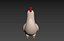 Character160 Chicken