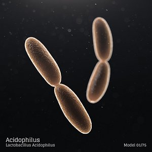 3D microbes bacteria cells