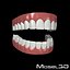 3d Teeth - obj