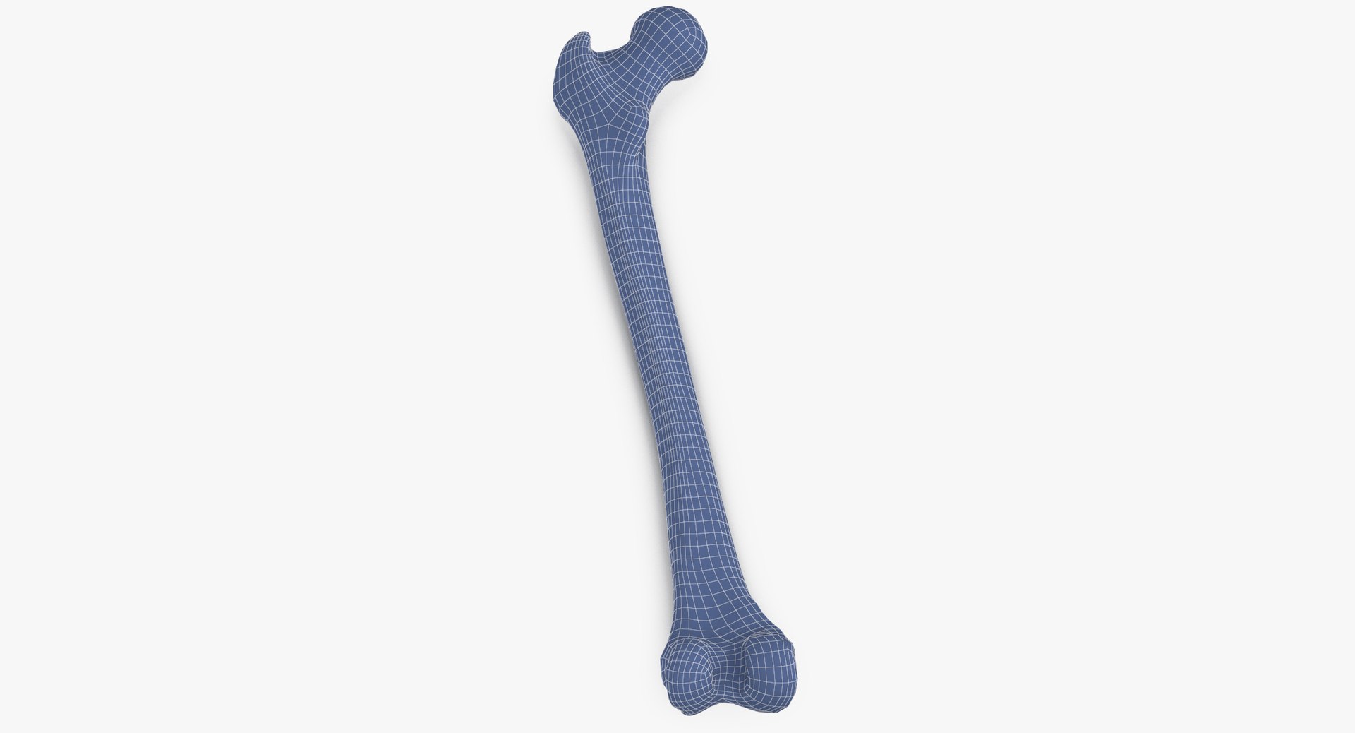 3D human femur bone 01 https://p.turbosquid.com/ts-thumb/FG/uFpjIu/CHZm1jE0/human_femur_bone_01_wireframe_0003/jpg/1562072722/1920x1080/fit_q87/f154ec1019169e6eee3040da7a3d81d3509babf3/human_femur_bone_01_wireframe_0003.jpg