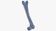 Human Femur Bone 01