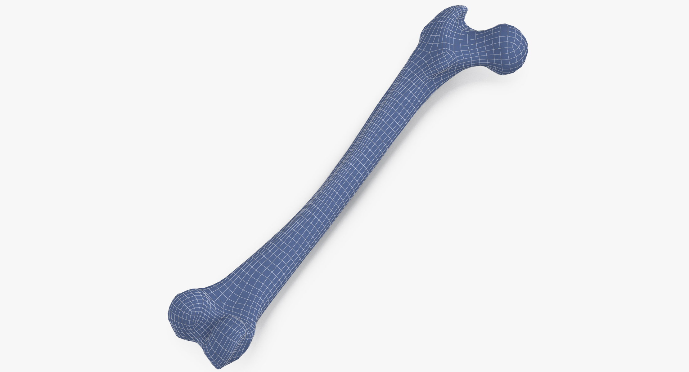 3D human femur bone 01 - TurboSquid 1422265