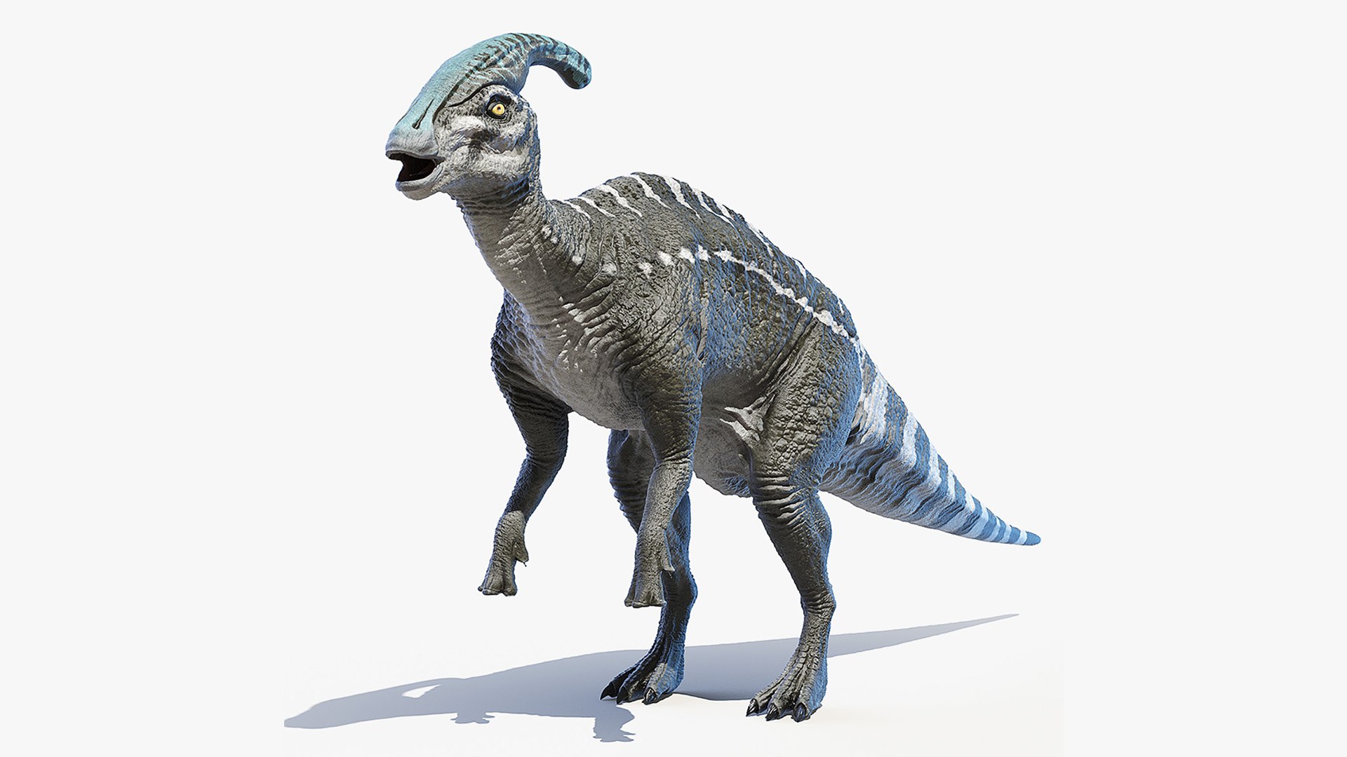 3D Parasaurolophus Saurolophus Model - TurboSquid 1586204