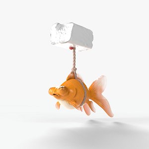 3D Orange gold fish bladder issue