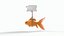Blasenproblem beim Orange-Goldfisch