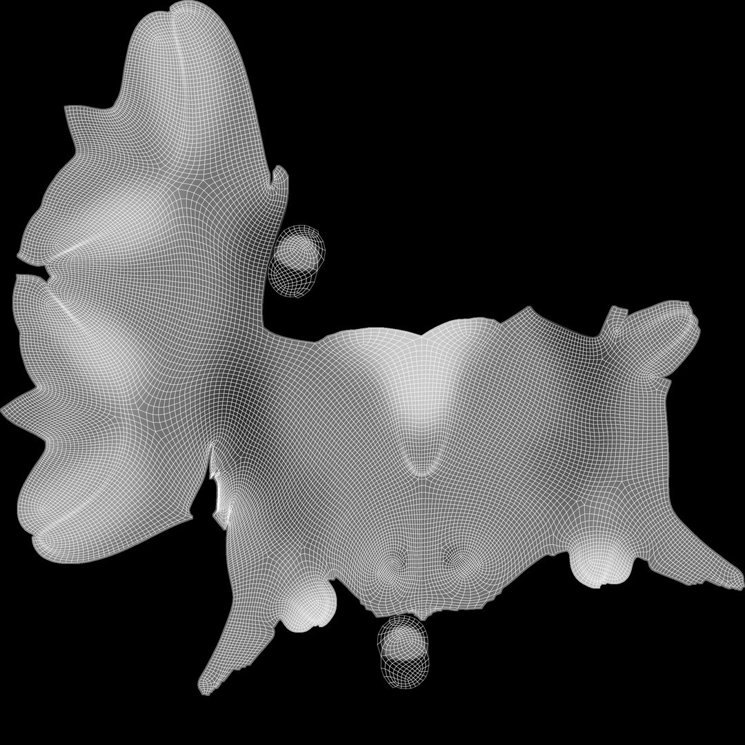 3D Orange gold fish bladder issue https://p.turbosquid.com/ts-thumb/FH/3REJXW/KL/goldfishuv/jpg/1747757783/1920x1080/fit_q87/561cb20691251f1b0b971652699e9011ba165cb4/goldfishuv.jpg