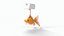 Blasenproblem beim Orange-Goldfisch