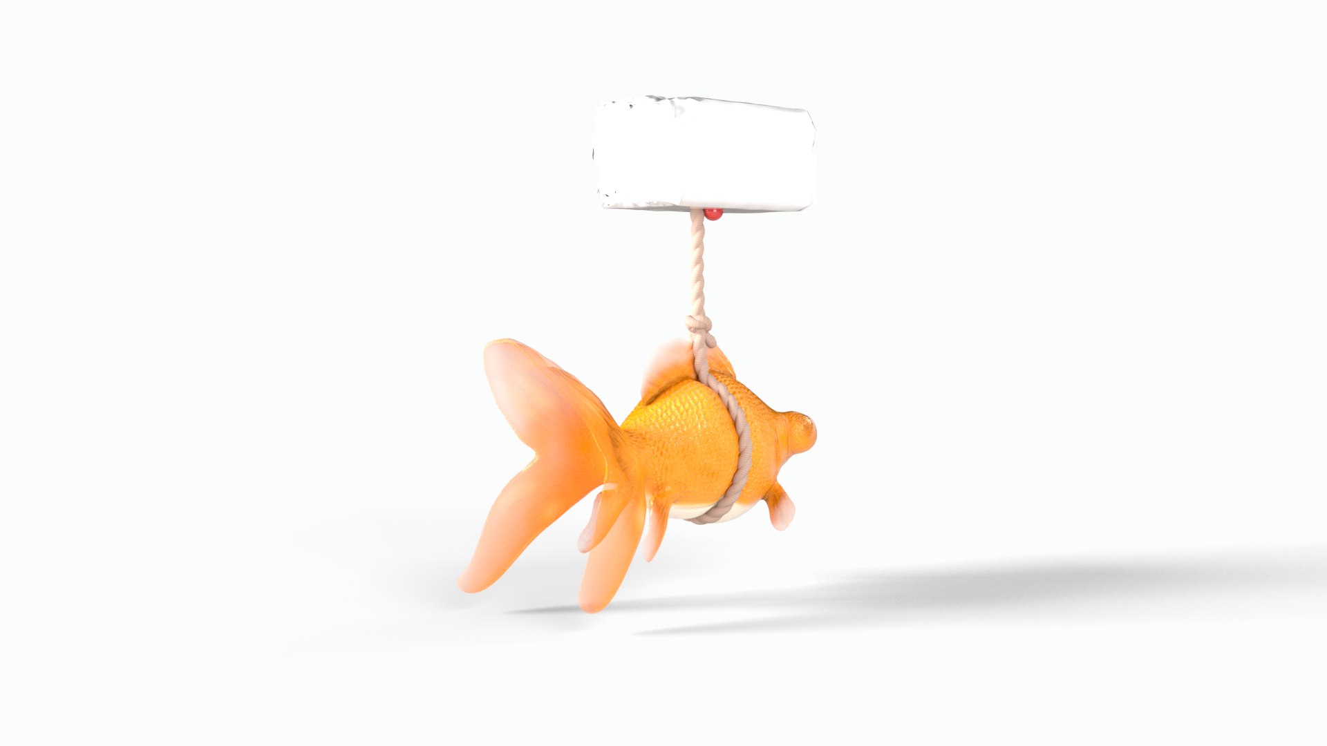 3D Orange gold fish bladder issue https://p.turbosquid.com/ts-thumb/FH/3REJXW/Zv/goldfish0004/png/1747757783/1920x1080/fit_q87/f393350fb59c18a355e9ab5039158e6d5e14855d/goldfish0004.jpg